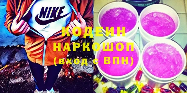 индика Елизово