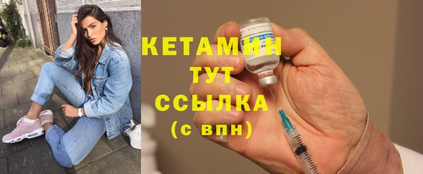 крисы Ельня
