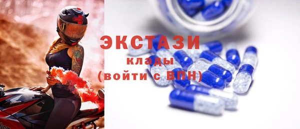 индика Елизово