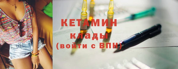 индика Елизово