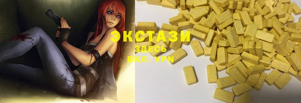 крисы Ельня