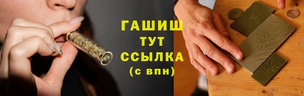 индика Елизово